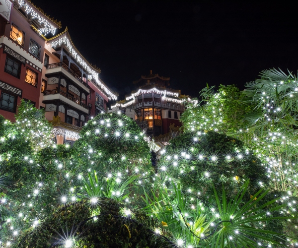 cf-winter-hotel-ling-bao-out_12.jpg